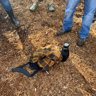 Bock Fest - My stuff