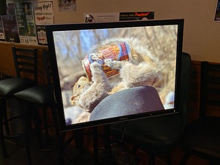 Bock Fest Backgrounds