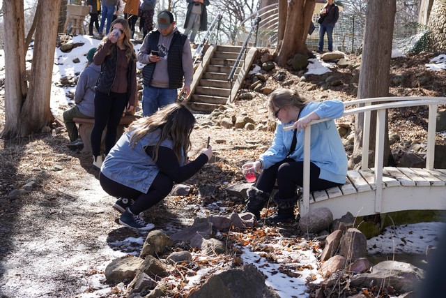 Posing for a nice picture