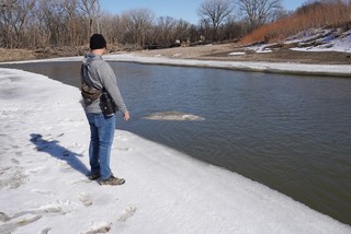 Bock Fest - Watchin icebergs