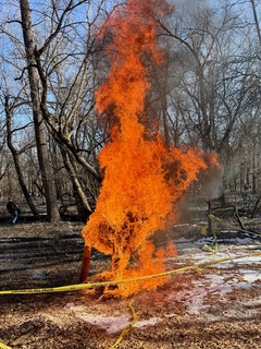 Bock Fest - WHO DID IT