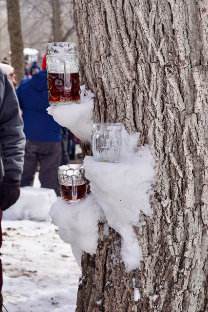Some nice bock fest shelves