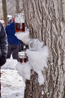 Some nice bock fest shelves