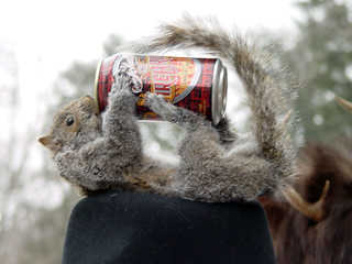 Bock Fest - This was on a dude's hat