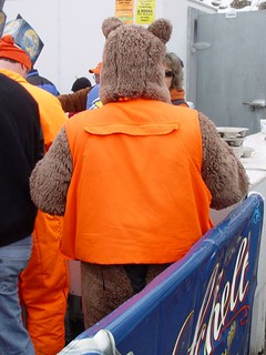Bock Fest - A teddy bear