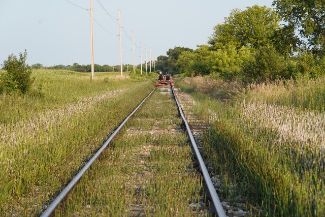 Ridin by the snake grass