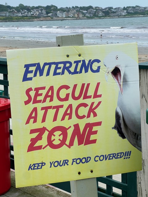 Entering Seagull attack zone