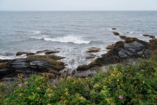 Why is the ocean so damned calming?