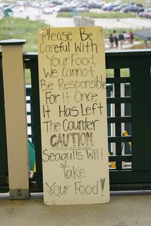 Segulls will take your food!