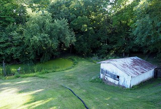 I've done a lot of mowing in this back yard.