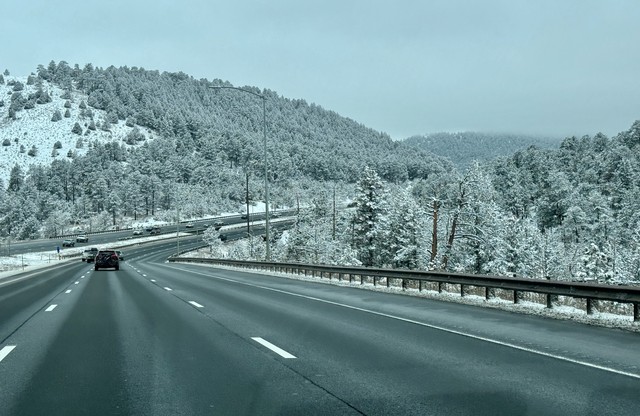 The fog and snow made the trees pretty incredible as we pulled into the Rockies