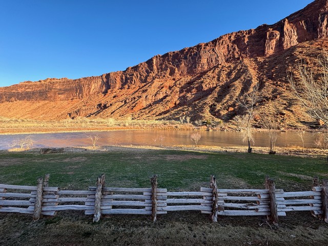 Back yard in the morning