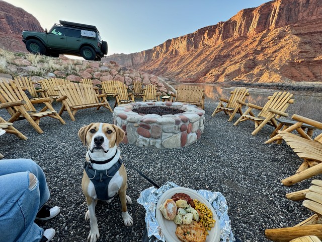 Durby hangs out for dinner