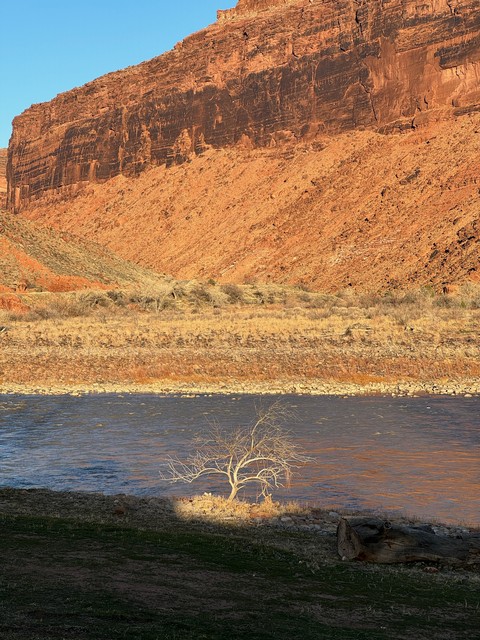 The way the sun illuminated this tree was much more special than the way that I captured it