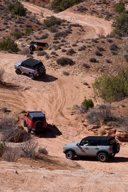 Broncos on the trail