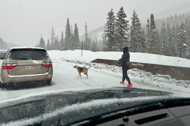 Kari takes Durby for a walk on i70