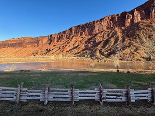 Back yard in the morning