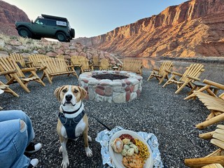 Durby hangs out for dinner