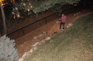 Nick going to check out the exploded champagne bottle that he threw off the deck