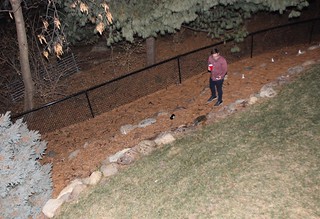 Assessing the damage