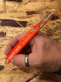 Mom's dog really enjoyed helping work on the house.