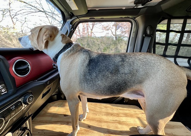Durb is digging the 1-seat Jeep