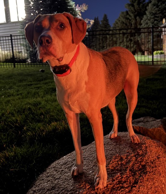 Boulder boy