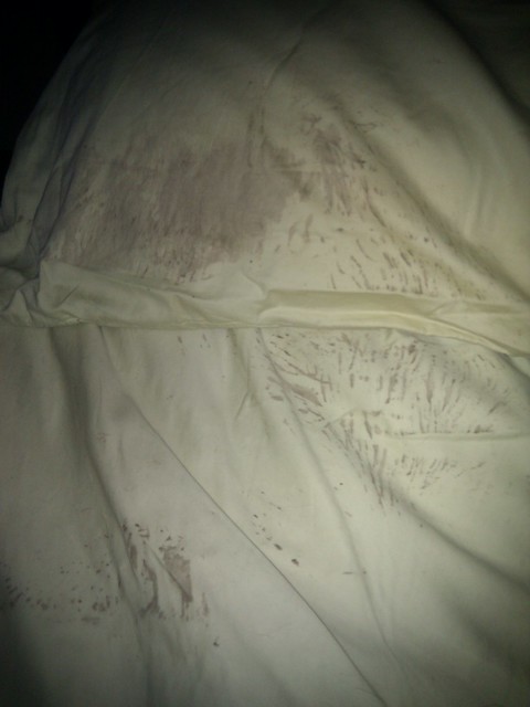 Apparently Garth Brooks went outside, got muddy, then took a nap on my side of the bed today...