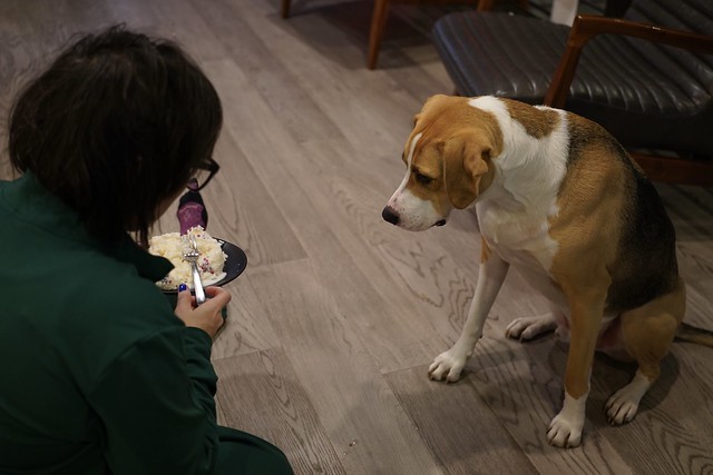 Ready for birthday cake