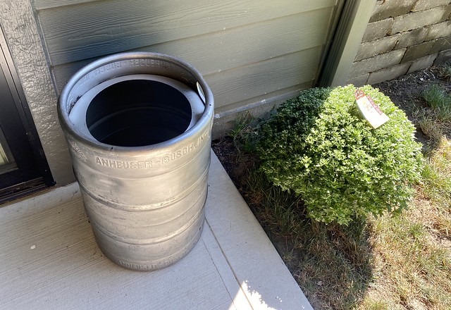 Keg planter