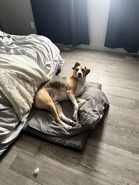 I’m sorry for disturbing your slumber, Durby