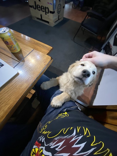 Made a buddy at Earl’s tire