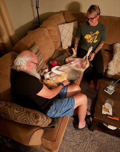 Durby enjoys the couch