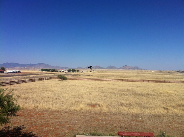 Looking out from the hotel