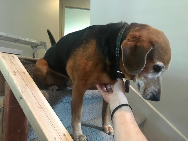 Awkward boy wants his chest rubbed