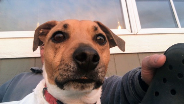 Important video chats