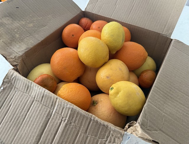 Shipment of fruit from Jeff and Teresa’s trees