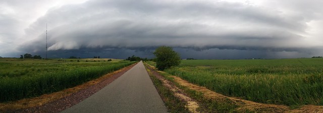 We should probably turn around soon