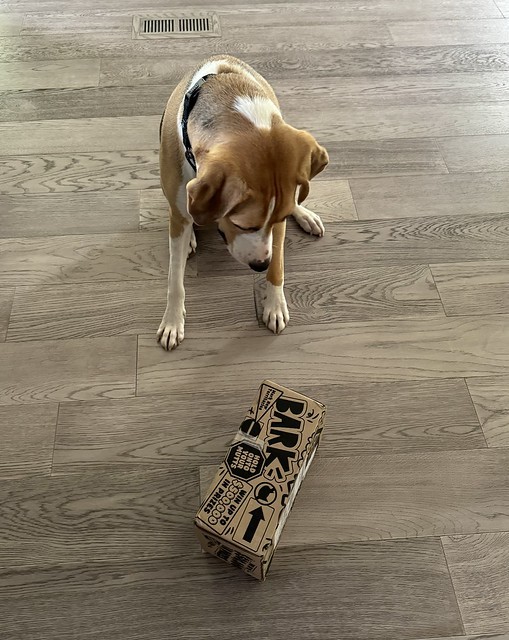 Durby is sad that he has to wait for Kari to get home before he opens his mail