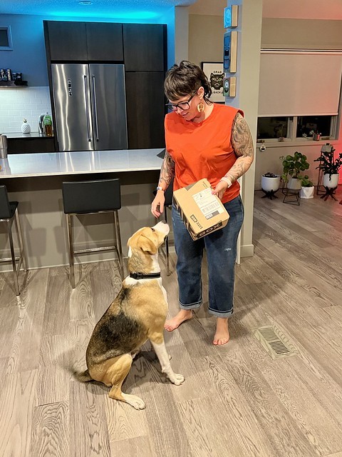 Bark box has arrived