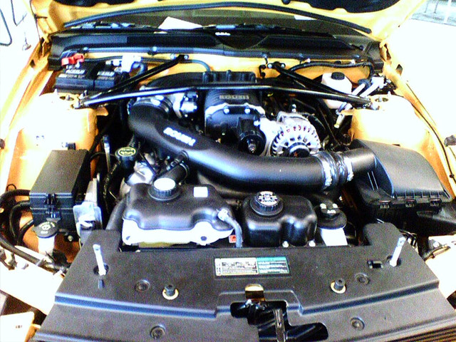 Mustang Trak Pack 427r at Dewey