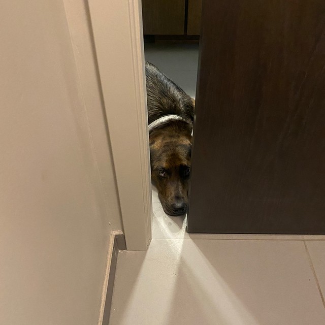 No privacy