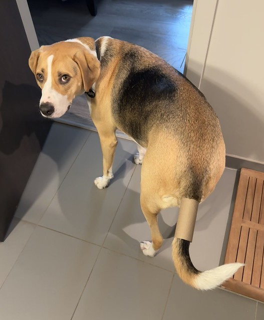 What have you done to me?