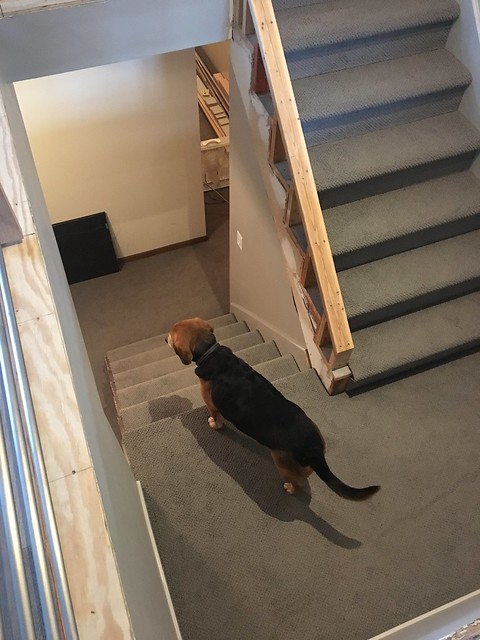 Concerned about the jackhammering