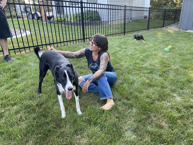 Manny is a good dog. Benny is not