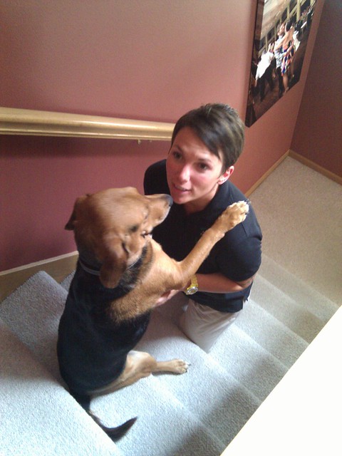 Our awkward dog, sitting on the steps.