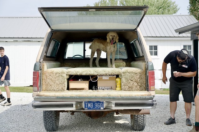 A nice bed for the poodle