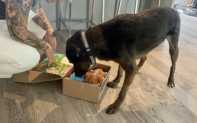 Benny the Butthole's first Bark Box