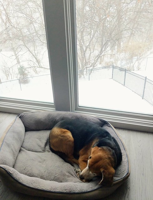 Gettin cozy on a snow day