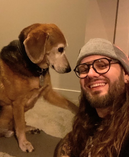 Tall dog beggin for pets